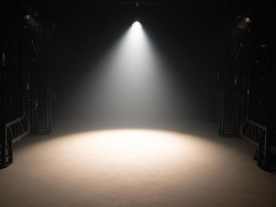 PAR-64 WW LED spot sort