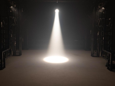 PAR-64 WW LED spot sort